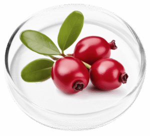 Bearberry