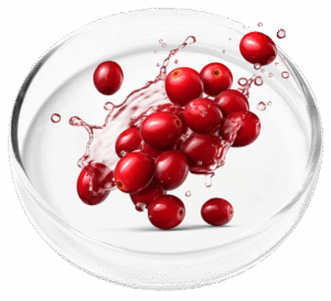 Cranberry Extract